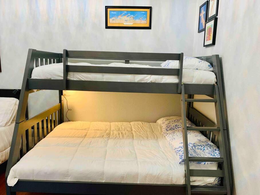 Pershing Place: Historic Home With Heated Spa/Pool By Zoo, Pearl, Golf, Witte San Antonio Eksteriør bilde